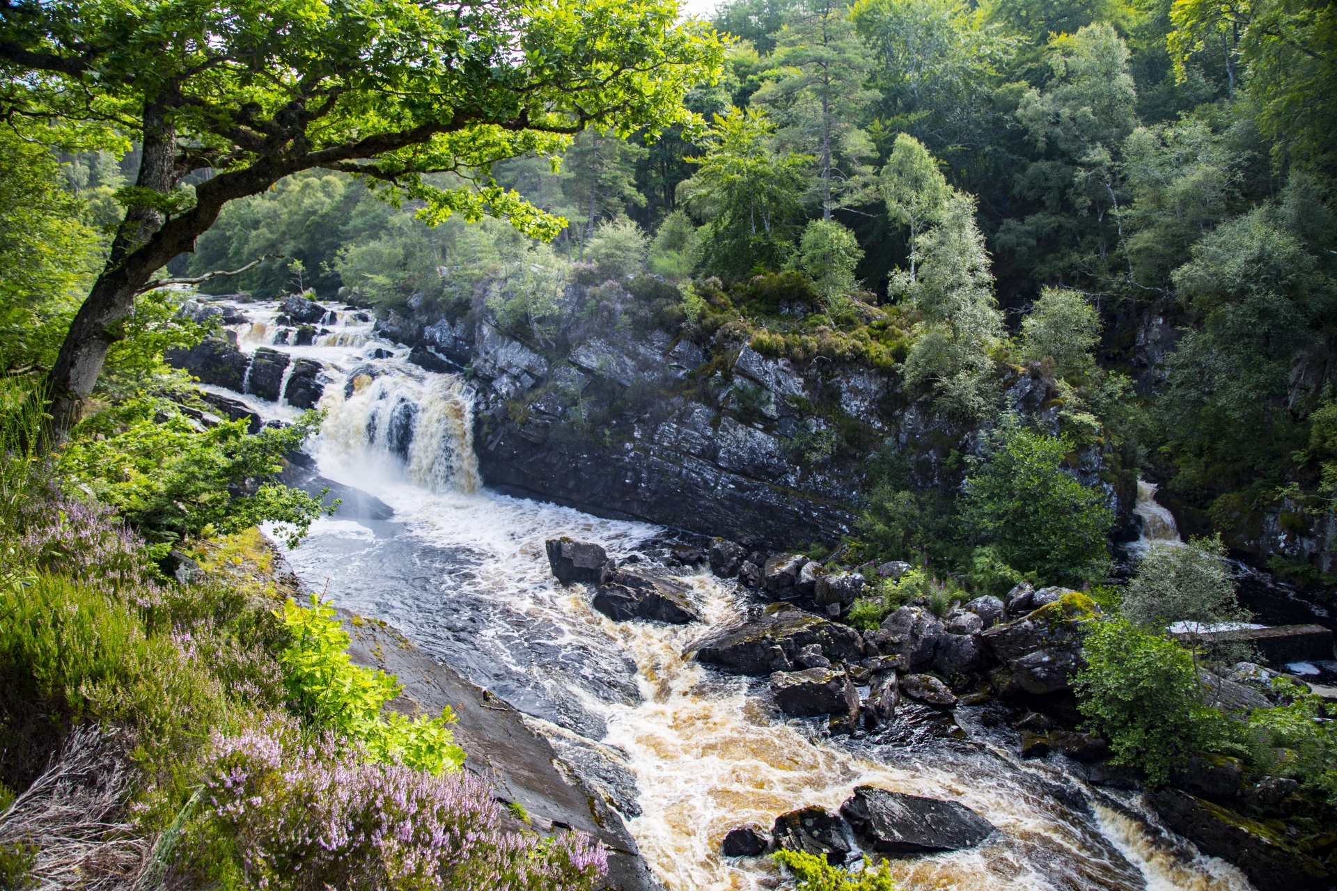 Sturtevant Falls